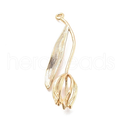 Brass Pendants KK-A238-06G-1