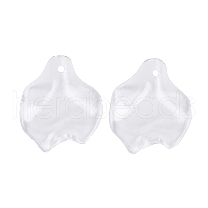 Transparent Acrylic Pendants TACR-G050-01E-1