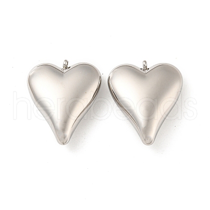 Non-Tarnish 304 Stainless Steel Pendants STAS-L022-200P-1