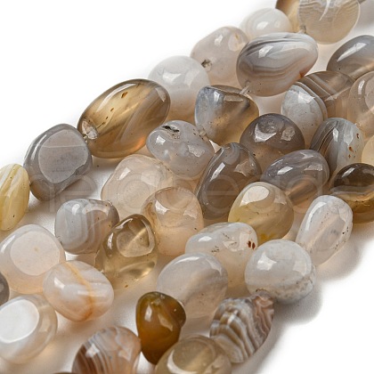 Natural Botswana Agate Beads Strands G-D081-A10-01-1