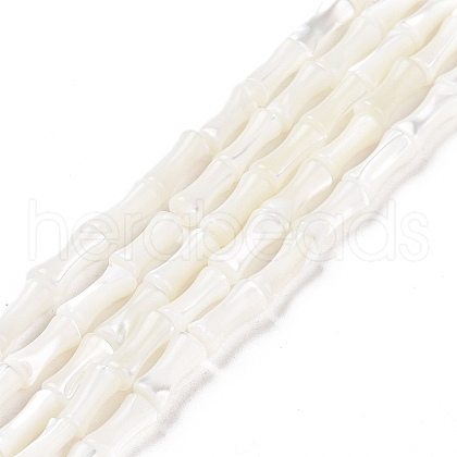 Natural Trochus Shell Beads Strands SSHEL-H070-04-1