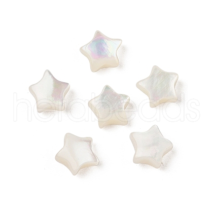 Natural White Shell Beads SHEL-R100-06A-1