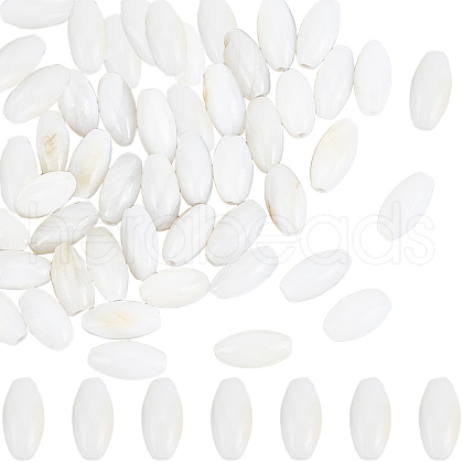 SUNNYCLUE 100Pcs Dyed Natural Shell Beads BSHE-SC0001-14-1