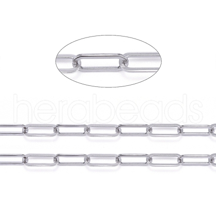 Tarnish Resistant 304 Stainless Steel Paperclip Chains CHS-F011-01A--P-1