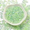 Ceylon Glass Seed Beads SEED-K009-02B-42-2