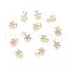 Brass Micro Pave Cubic Zirconia Charms ZIRC-F112-02G-1