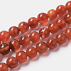 Natural Agate Beads Strands G-I261-B01-8mm-2
