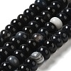 Natural Black Agate Beads Strands G-H295-C03-06-2