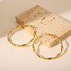 Fashionable Twist Circle Hoop Earrings AQ2048-3
