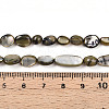 Natural White Shell Beads Strands SHEL-N036-21A-4