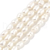 Natural Cultured Freshwater Pearl Beads Strands PEAR-P062-01D-2