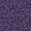 MIYUKI Round Rocailles Beads X-SEED-G007-RR0223-3