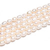 Natural Cultured Freshwater Pearl Beads Strands PEAR-N012-04V-01-5