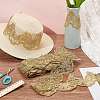  7.5 Yards Polyamide Flower Embroidery Lace Trim for Garment Accessories OCOR-NB0002-02-4
