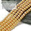 Eco-Friendly Dyed Glass Pearl Round Beads Strands HY-A002-6mm-RB112-2