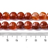 Natural Red Banded Agate/Striped Agate Beads Strands G-C179-A02-03-5