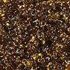 Glass Seed Beads SEED-L011-02A-04-3