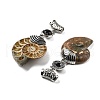 Natural Black Agate Fossil Snail Pendants G-F062-08-3
