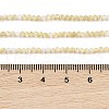 Natural Trochus Shell Beads Strands BSHE-G036-08A-02-4