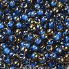 Glass Seed Beads X1-SEED-H002-B-D215-3