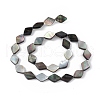 Natural Black Lip Shell Beads Strands SHEL-M018-16-2