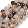 Natural Dendritic Agate Beads Strands G-A248-A07-03-2