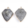 Electroplate Natural Labradorite Pendants G-S344-20A-2