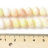 Electroplate Handmade Lampwork Beads Strands LAMP-S068-11G-4