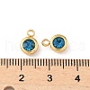 304 Stainless Steel Charms STAS-Z115-01G-14-3