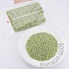 6/0 Glass Seed Beads SEED-S007-8-2