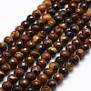 Faceted Natural Tiger Eye Beads Strands G-F364-04-6mm-1
