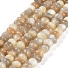 Natural Multi-Moonstone Beads Strands G-G053-C11-01-2