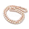 Electroplate Glass Beads Strands EGLA-D030-06B-2