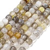 Natural Botswana Agate Beads Strands G-H042-A07-02-2