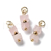 Natural Rose Quartz Cuboid Beaded Pendants STAS-C120-02G-06-1
