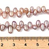Natural Cultured Freshwater Pearl Beads Strands PEAR-I007-04A-01B-5