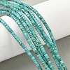 Dyed Natural Magnesite Beads Strands G-M448-C01-01-1