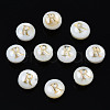 Natural Freshwater Shell Beads SHEL-S278-036R-1