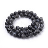 Natural Larvikite Beads Strands X-G-S259-06-12mm-2