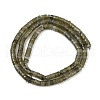 Natural Labradorit Beads Strands G-H230-78-3