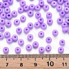 6/0 Glass Seed Beads SEED-T005-14-B04-4