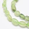 Natural Prehnite Beads Strands G-F521-29-3