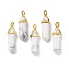 Natural Howlite Pointed Pendants G-G025-01G-43-4