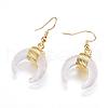 Natural Crystal Dangle Earrings EJEW-L189-C08-G-1