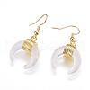 Natural Crystal Dangle Earrings EJEW-L189-C08-G-1