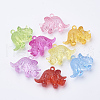 Transparent Acrylic Pendants X-TACR-T002-06-1