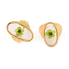 Oval Ion Plating(IP) 304 Stainless Steel Open Cuff Rings for Women RJEW-Z052-03G-2