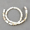 Natural Sea Shell Beads Strands X-SSHEL-Q296-39-1