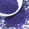 MIYUKI Round Rocailles Beads SEED-G007-RR0484-4