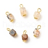 Natural Agate Pendants PALLOY-JF01586-04-1